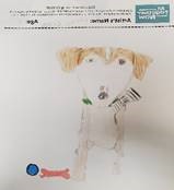 Photo of drawing of MIlo, dog.